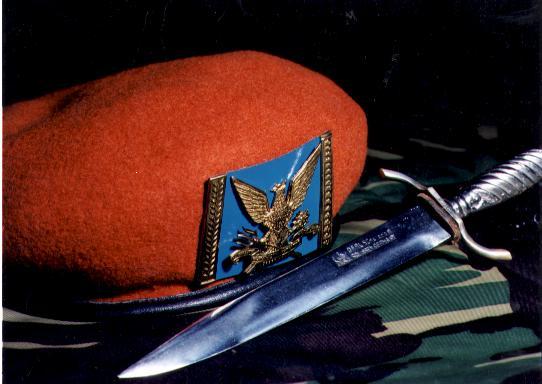 Baret Tni