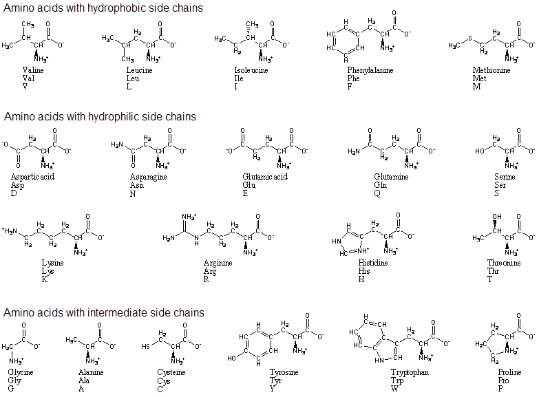 facebook single letter name