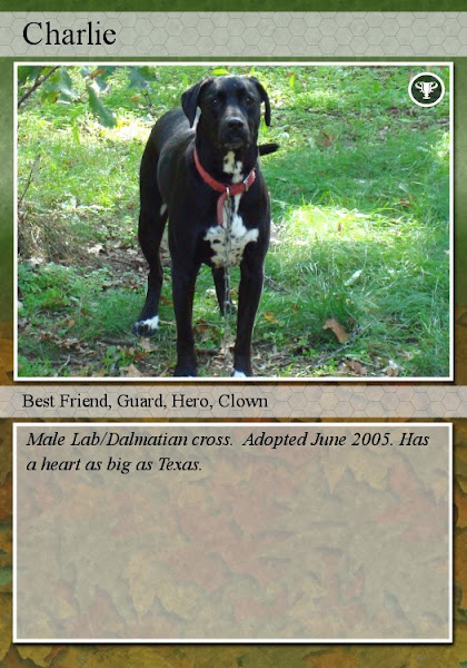 Pet Trading Card