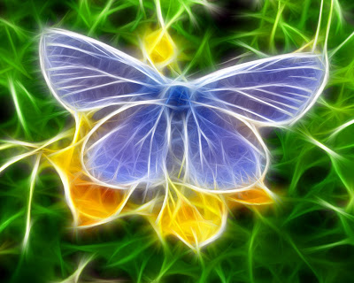 Cool 3D Butterfly Wallpaper