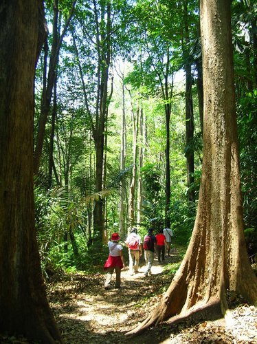 Dago pakar city forest park