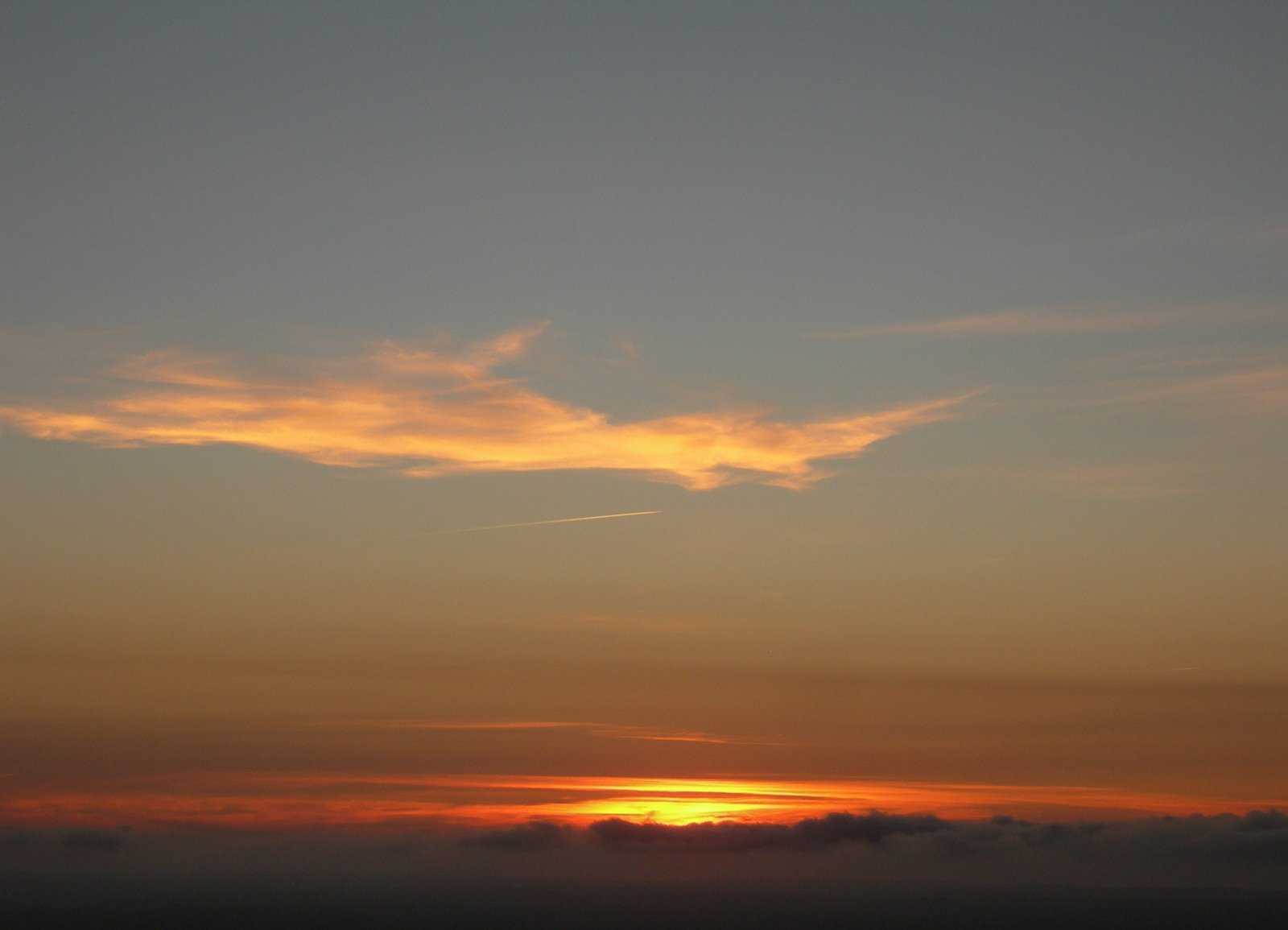 [OCASO.JPG]