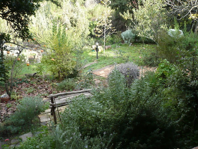 Immagini Di Un Giardino Mediterraneo