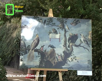 Las Aves en el Museo del Prado