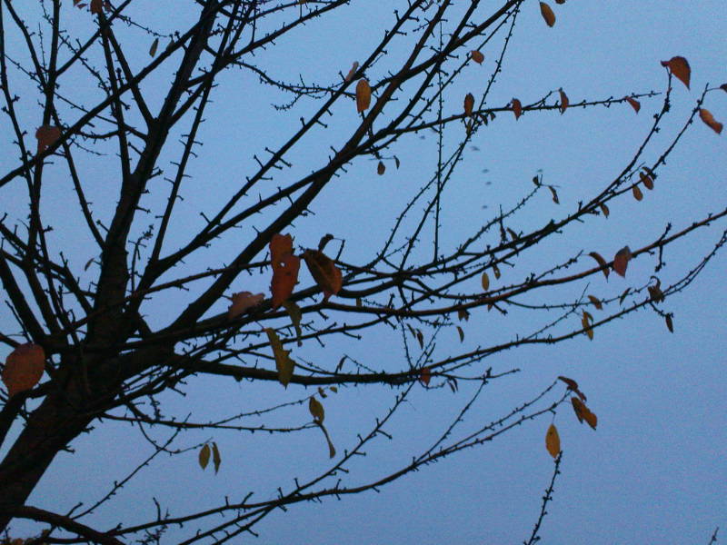 [image-upload-149-795772.jpg]