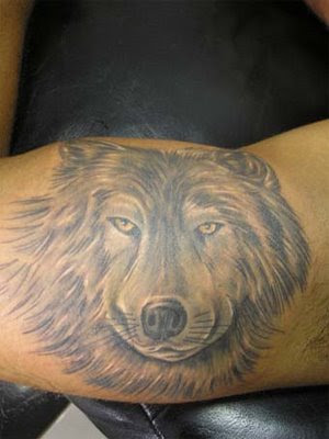 tattoos wolf. wolf tattoo on arm