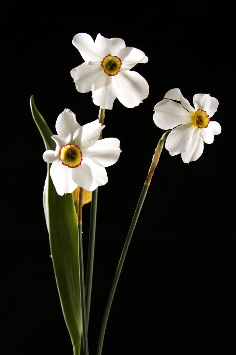 [_MG_3825+copy(1).jpg]