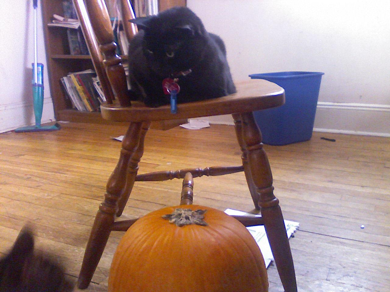 [Casi+and+Pumpkin.jpg]