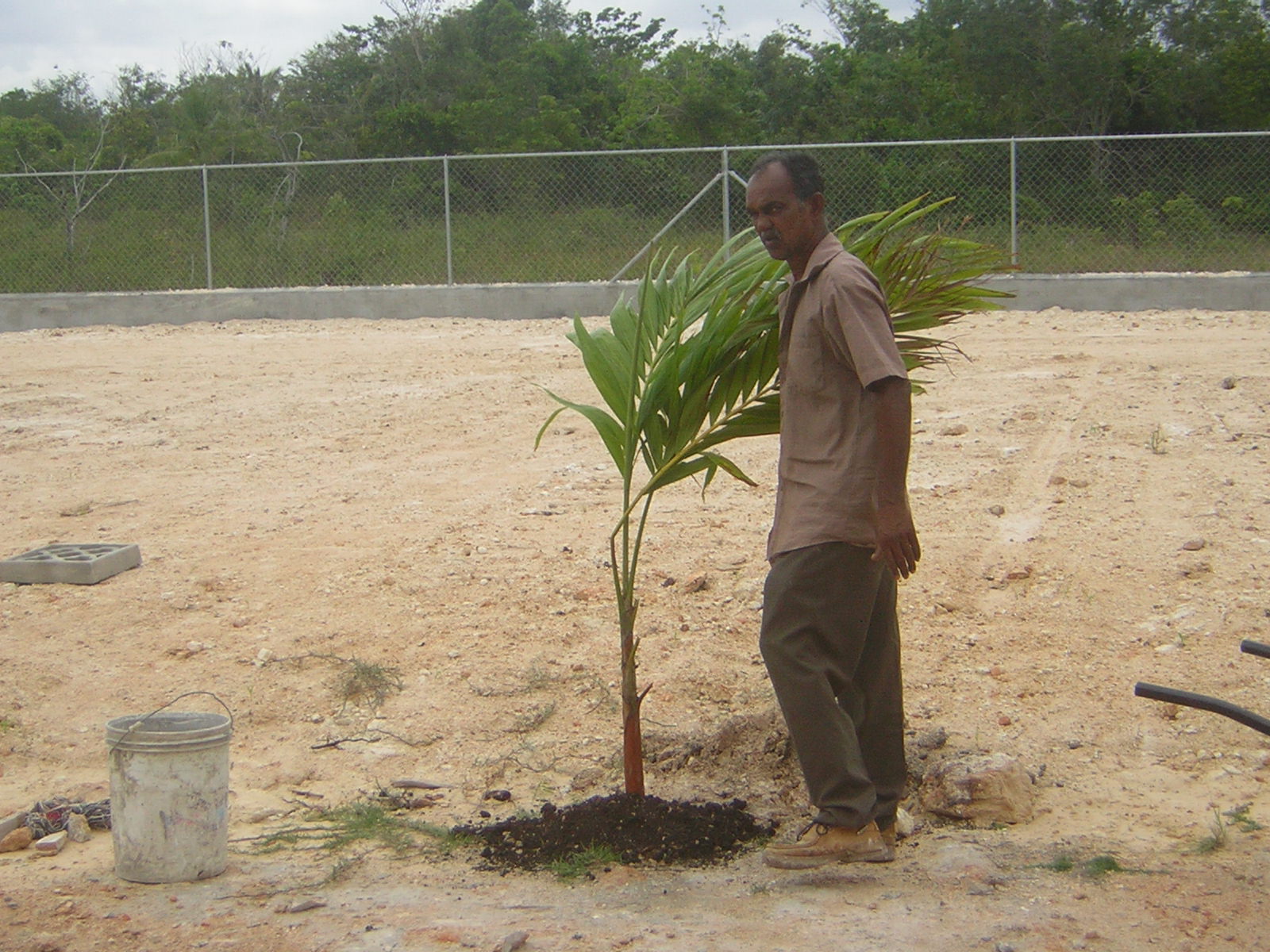 [Cody+Planting+New+Trees-2+4-10-2008+09-37-52.JPG]