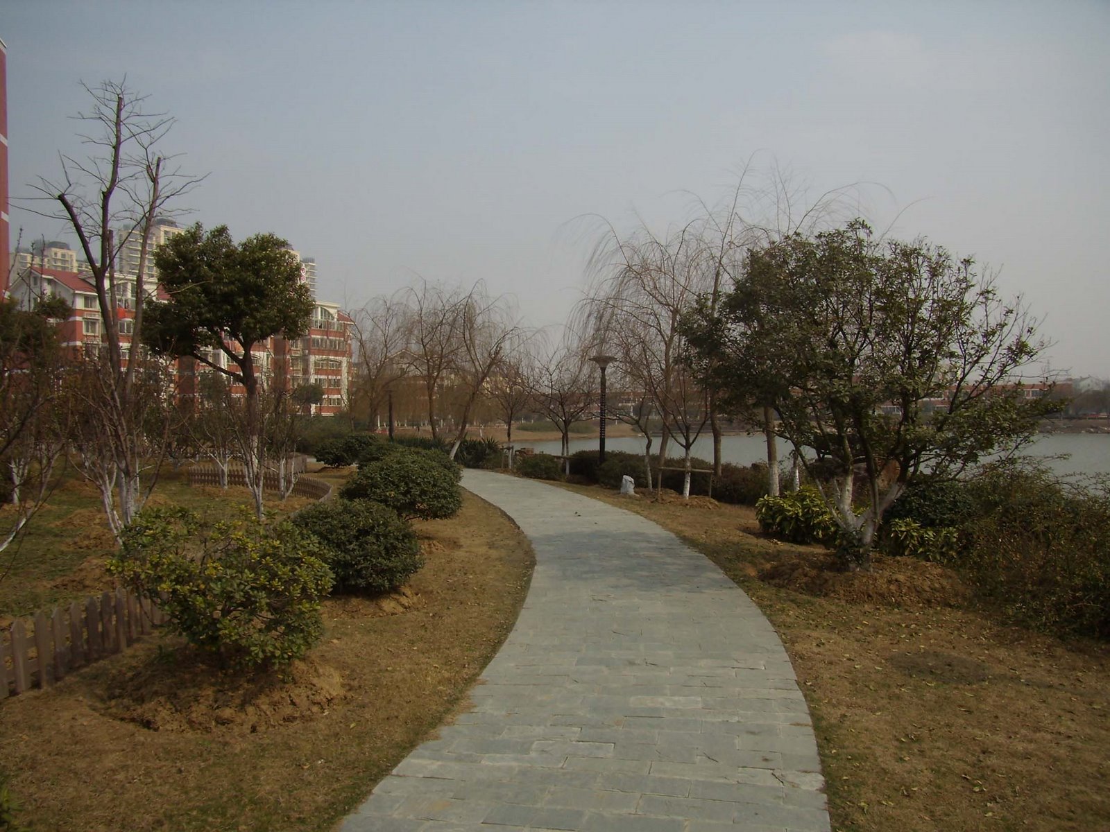[school+lake+path.jpg]