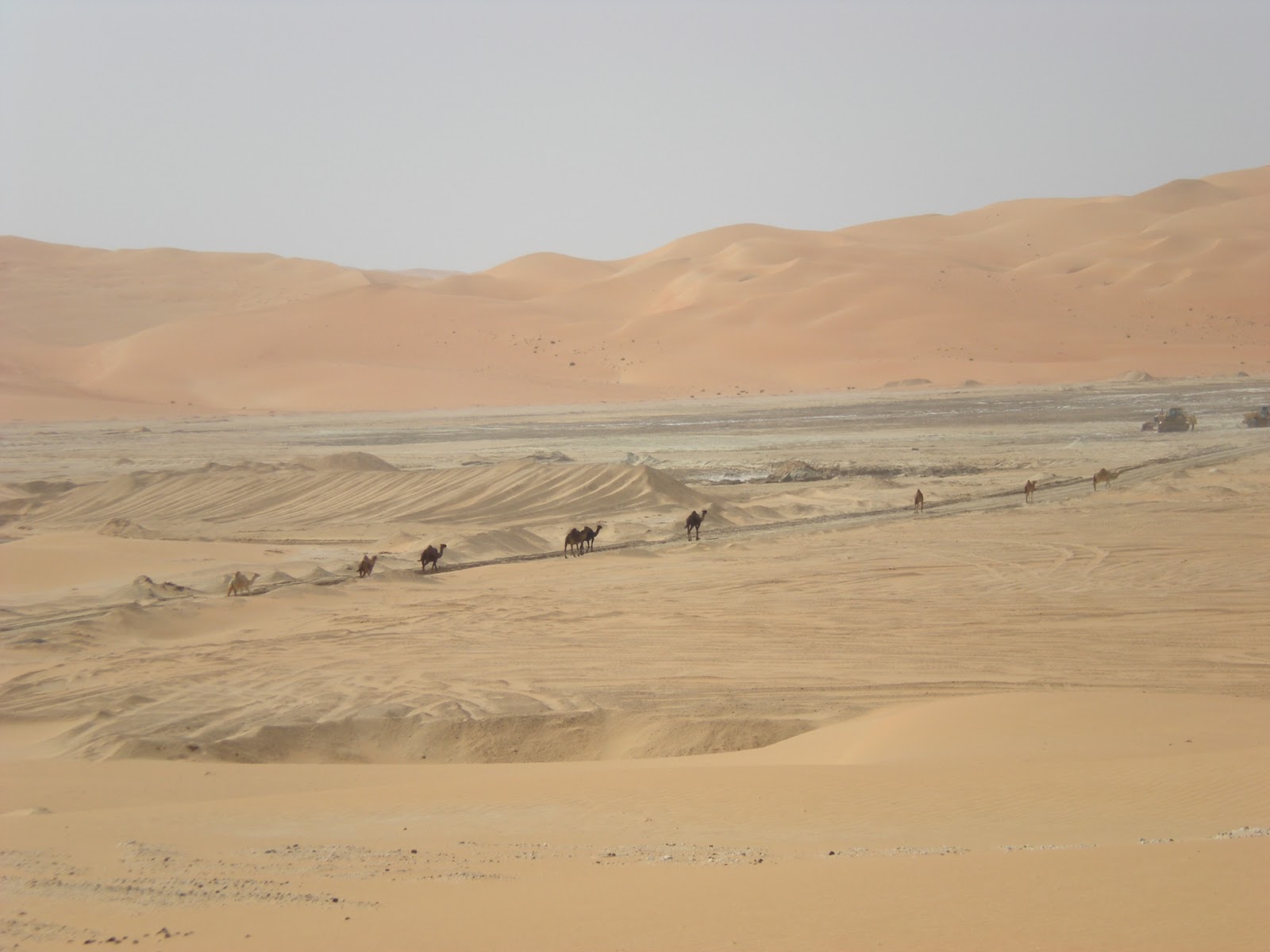 UAE Experience Moreeb Dune & Abu Dhabi