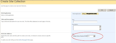 Wildcard Inclusion:When we