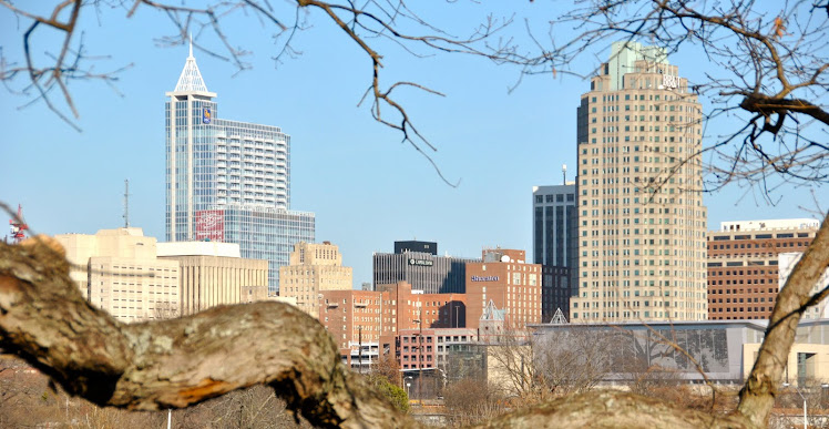 carolina skyline