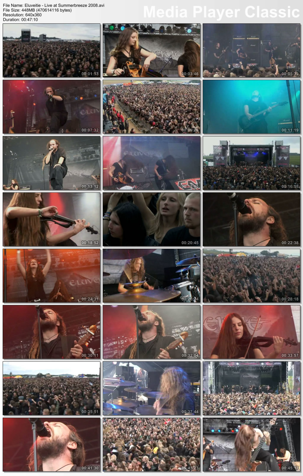 Deep Forest Essence Of The Forest