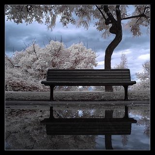 [Banco+da+praça.jpg]