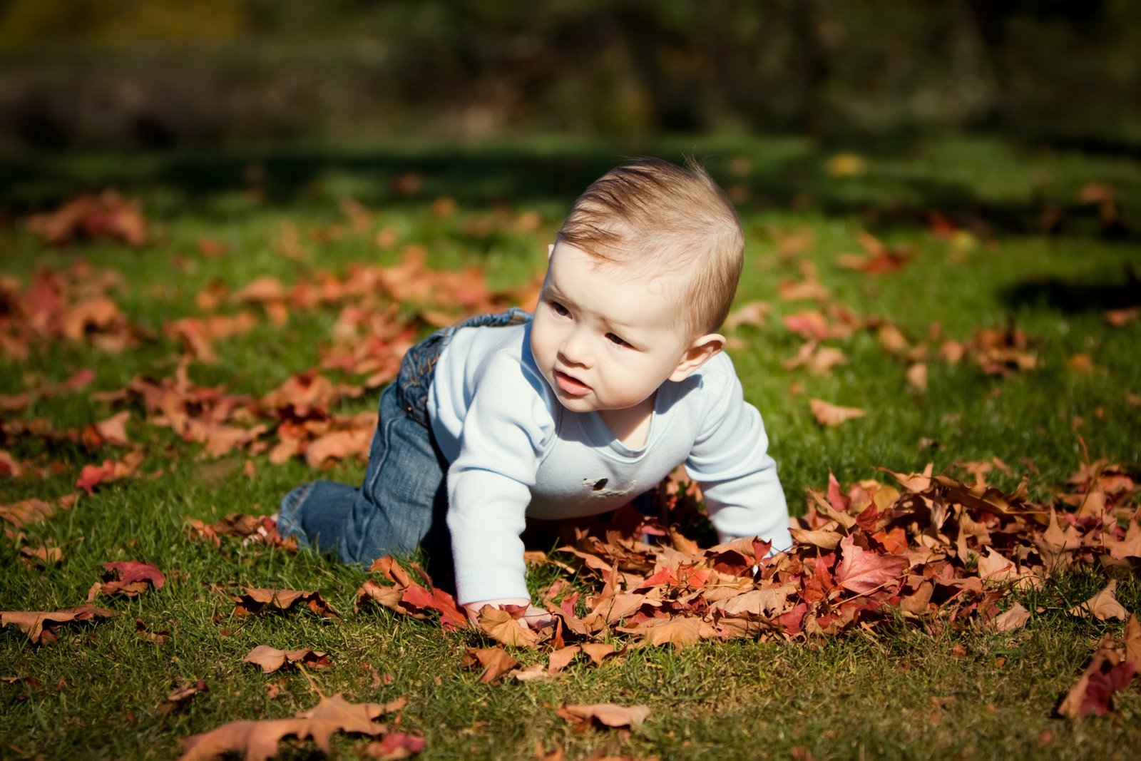 [IMG_7821etexture.jpg]