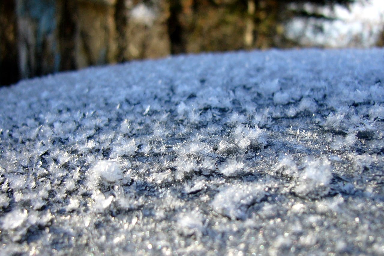 [frost+on+car.jpg]
