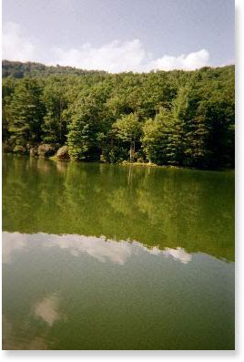 [West+Virginia's+beauty!.bmp]