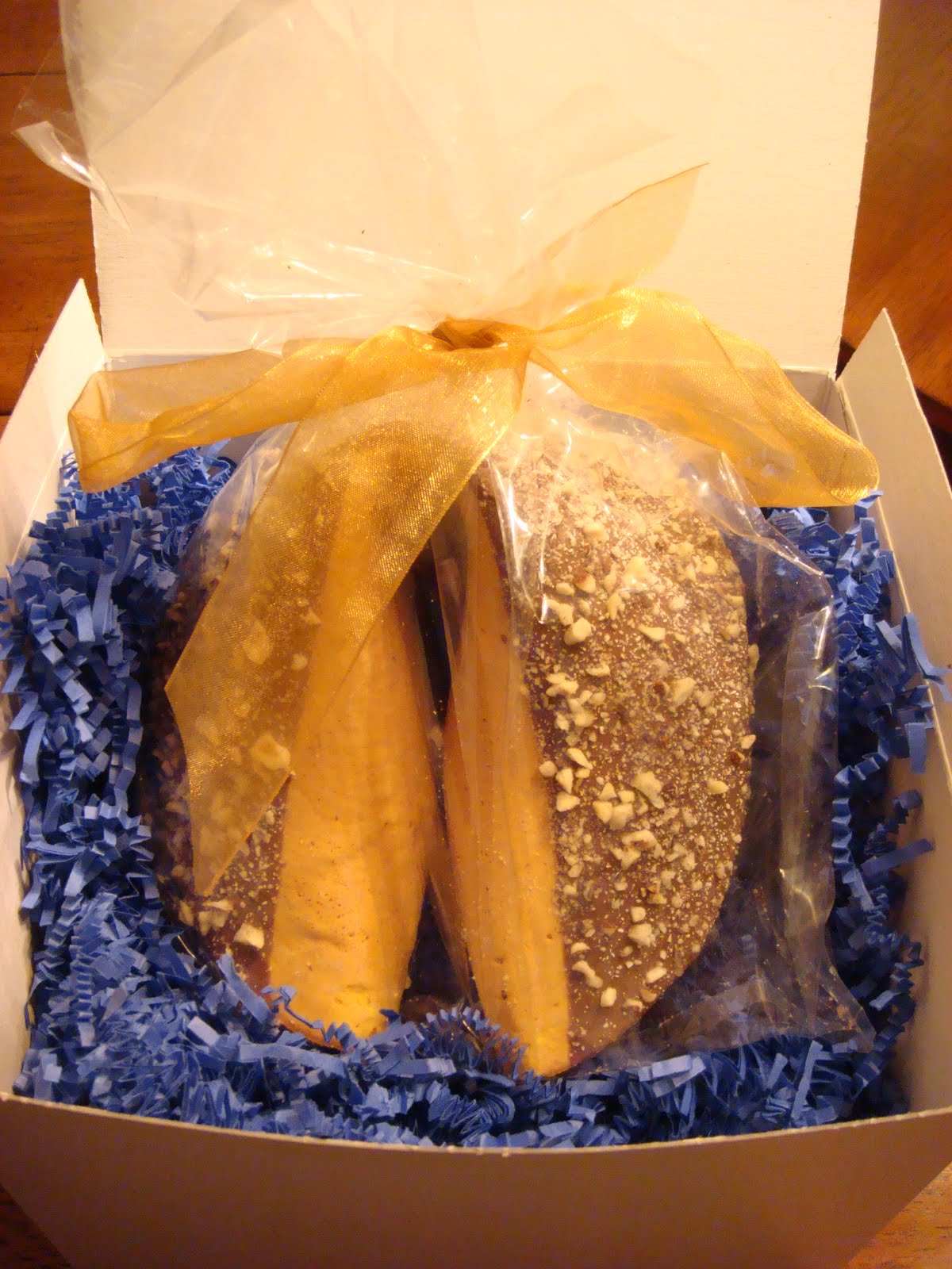 [November+2009+001.jpg]