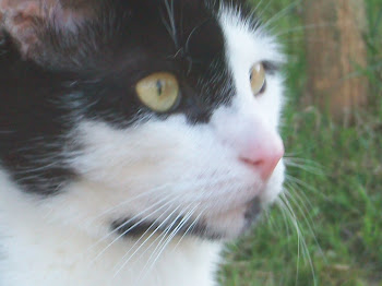 Oscar