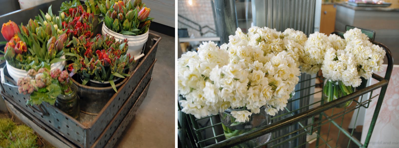 GRAHAM BABA ARCHITECTS The first shop at MELROSE MARKET is opening today!