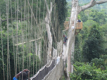 Kakum Canopy Walk