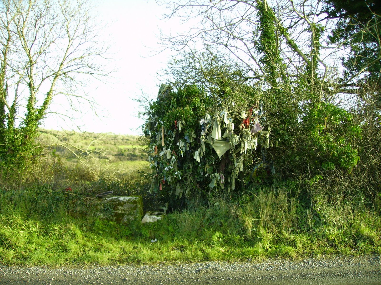 [Dysart+Wooden+Bridge+St+Kierans+well.JPG]