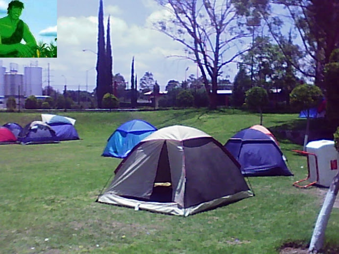 NIÑOS ACAMPANDO EN EL CURSO DE VERANO