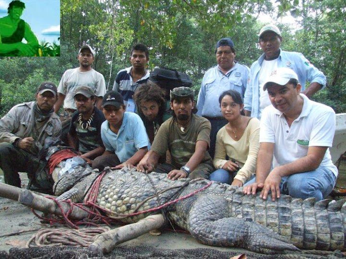 EL CURADOR DEL AREA DE COCODRILOS