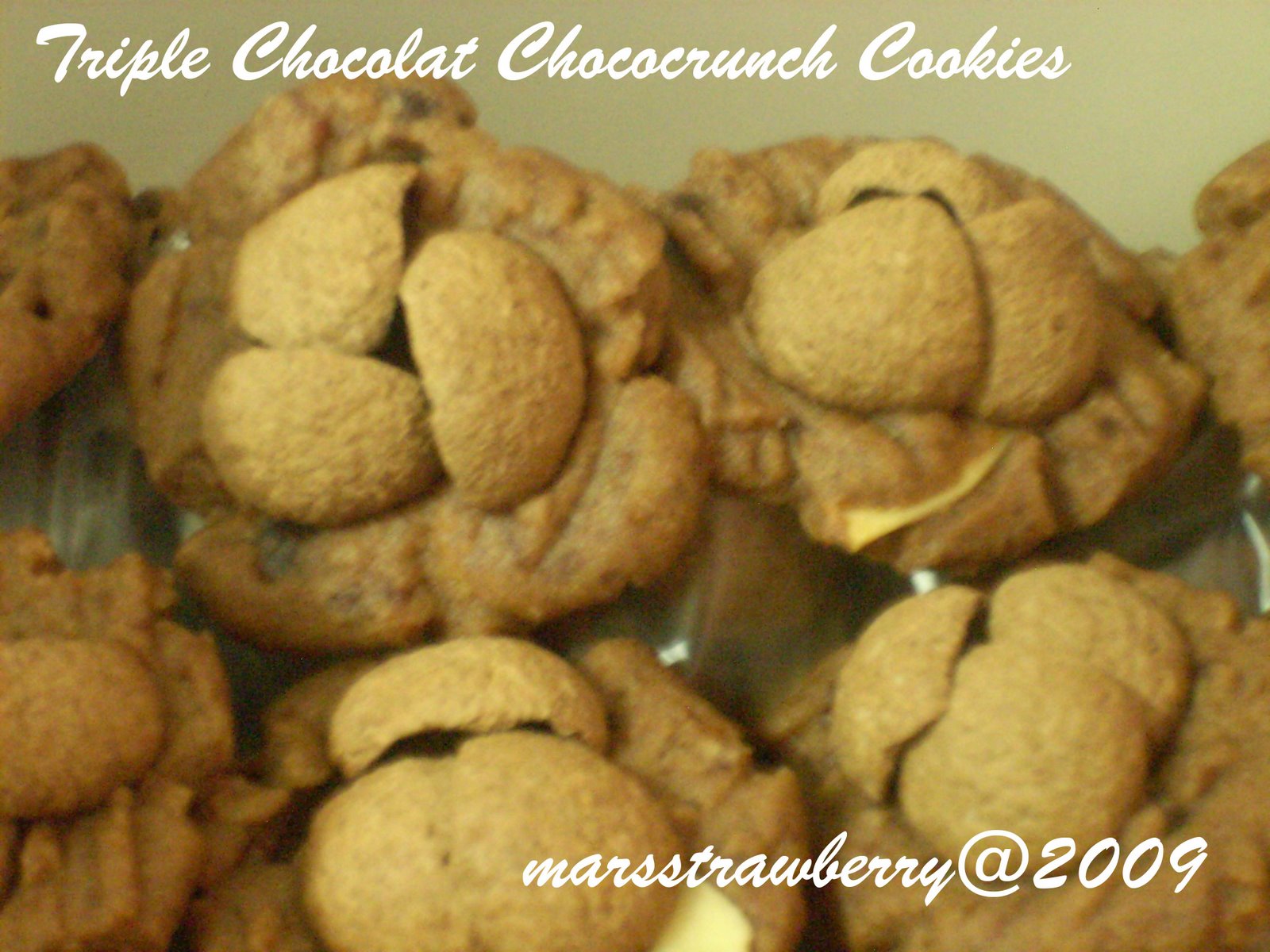 [TCC+Cookies.jpg]