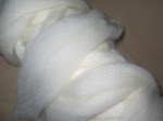 Roving wool / Top wool