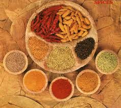 Following the Masala