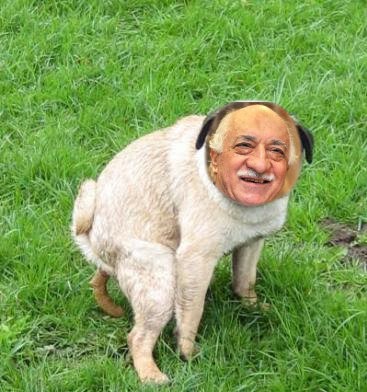 Innovation, Harmony School