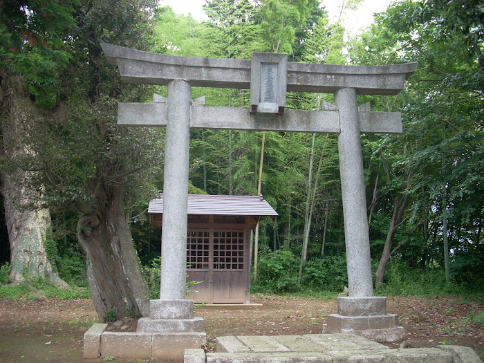 Temple In Japan