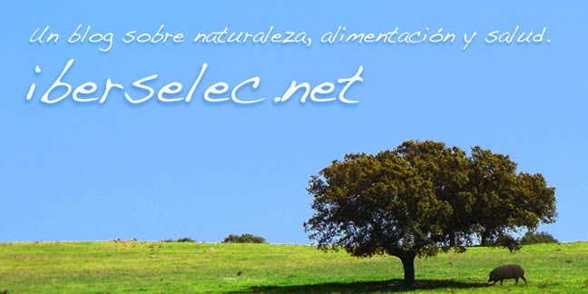 Blog de IBERSELEC