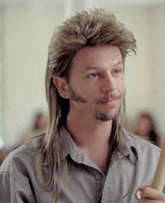 Joe_Dirt_Mullet_aka_David_Spade.jpg