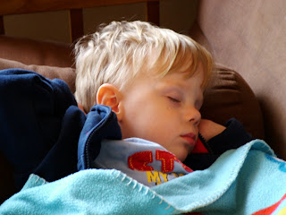 They look so cute when asleep