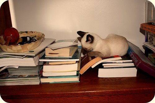[alice+and+books.jpg]