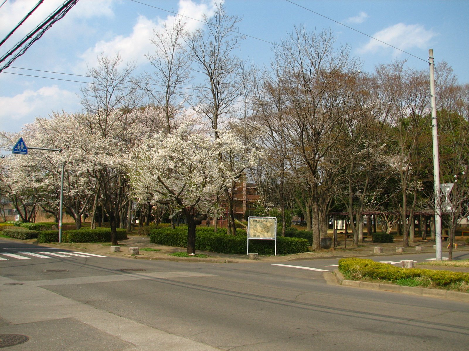 [IMG_4048.JPG]