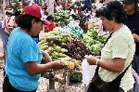 Trueque de verduras