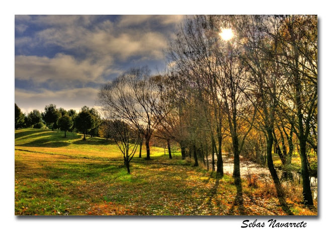 Arroyo de la Recomba