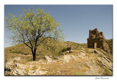 Castejn de las Armas