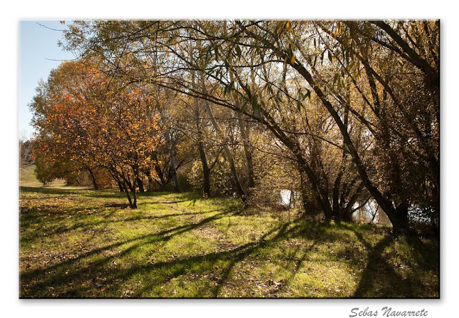 Otoño noviembre 2010