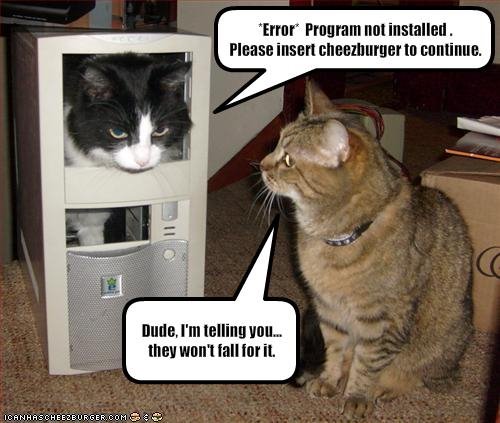 [cat_insertcheeseb.bmp]