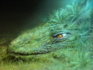 Espécies de Dragões: O Dragão Verde Drag%C3%A3o+verde