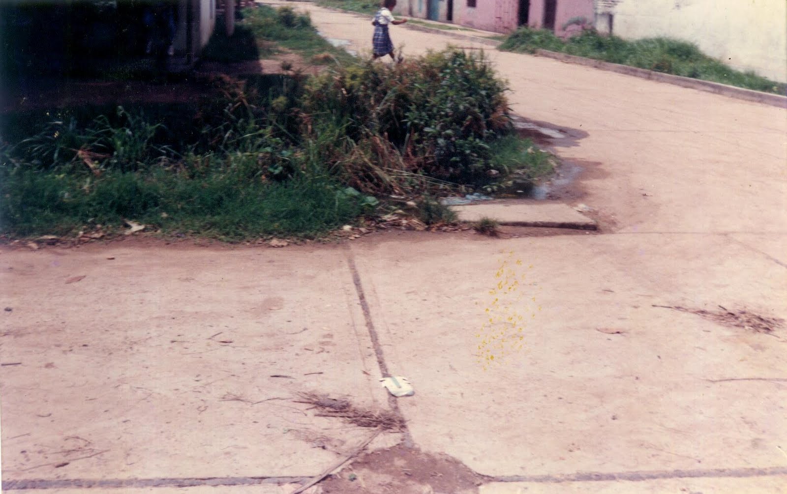 Importancia Del Rio Magdalena Para Los Pobladores Que Viven De Sus Aguas