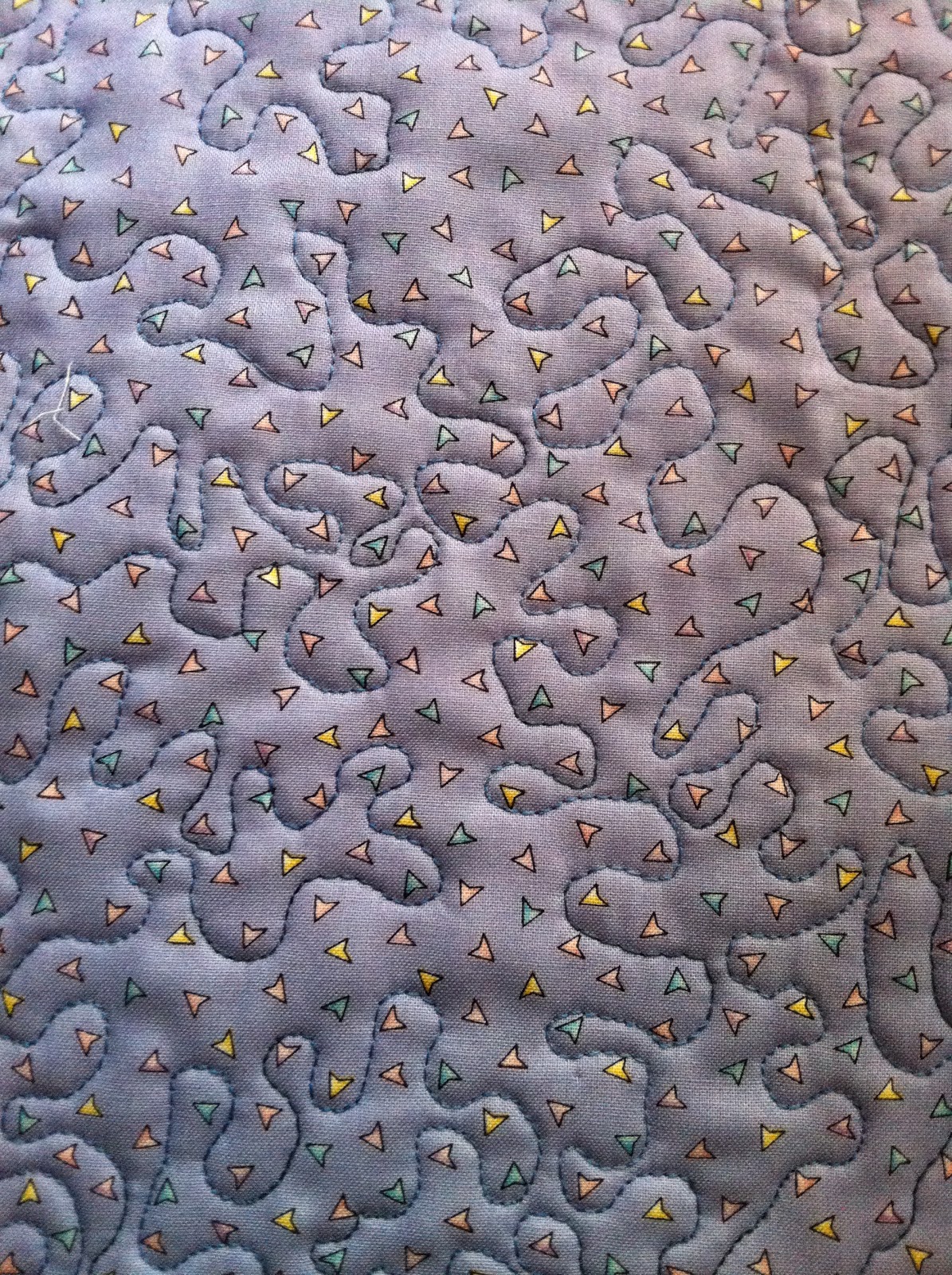 Empty Nest Gardens and Quilts David Taylor Machine Quilt Class