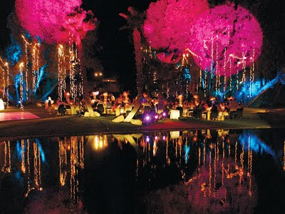 Amazing Wedding Ideas on Love How They Light Up The Trees  Amazing What Some Lighting Can Do