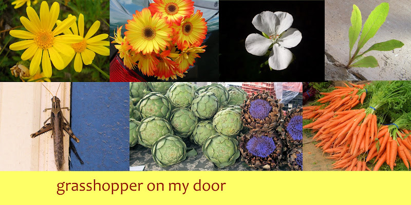 grasshopper on my door