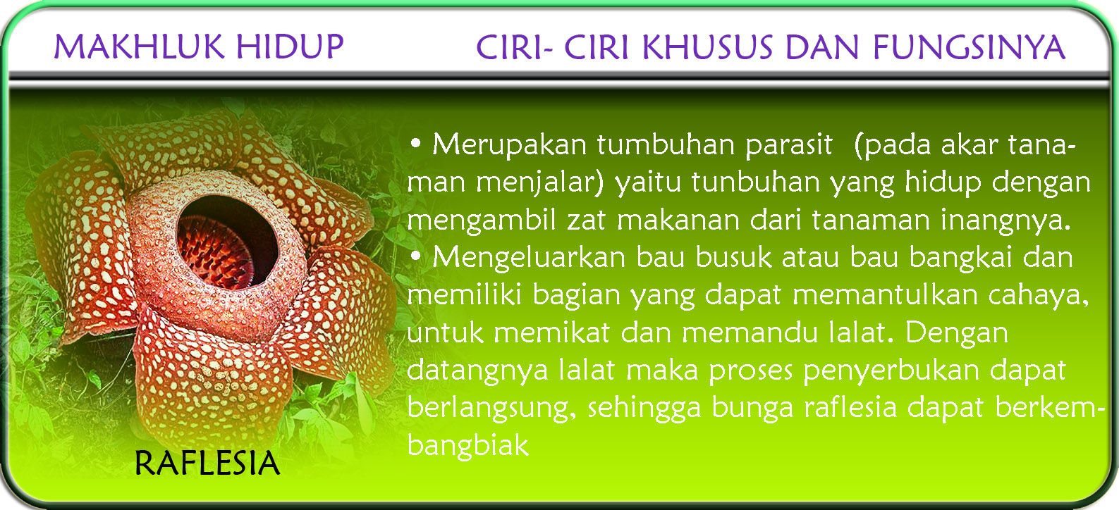 X-PLORE: Ciri-ciri khusus makhluk hidup (TUMBUHAN) Vol. 1